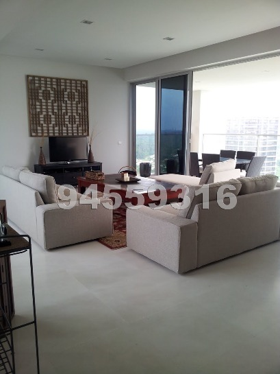 Sky@Eleven (D11), Condominium #454862